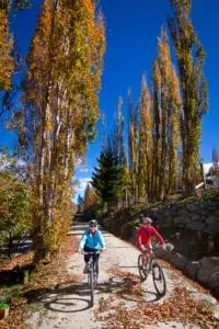 biking the queenstown trails