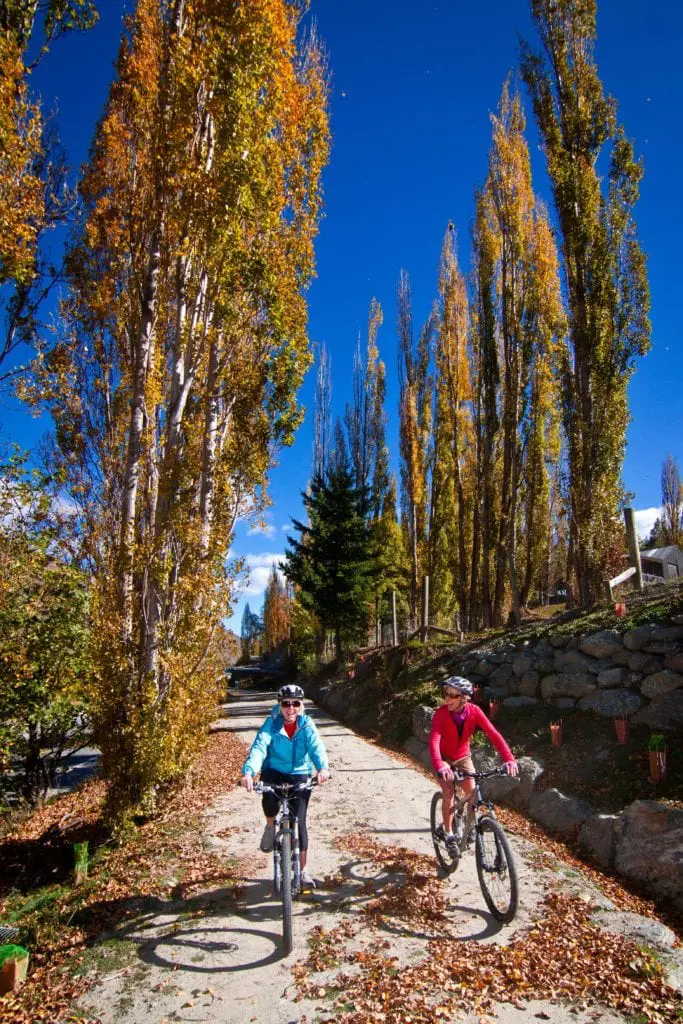 biking the queenstown trails