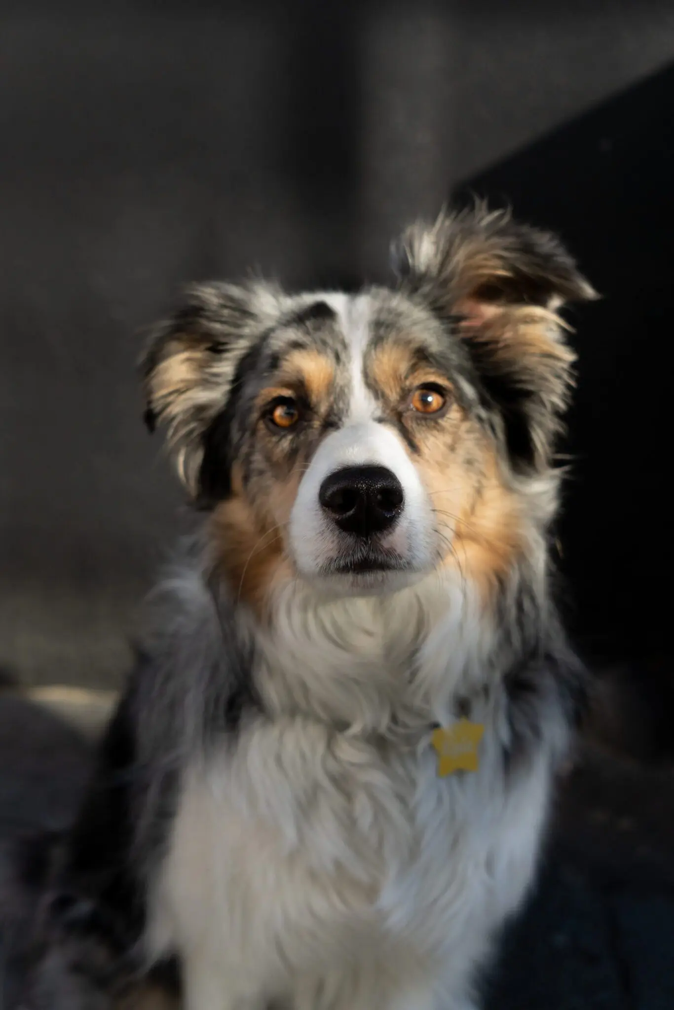 Kyla from Around The Basin