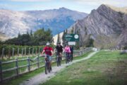 Biking through the wineries, near Cargo Brewery