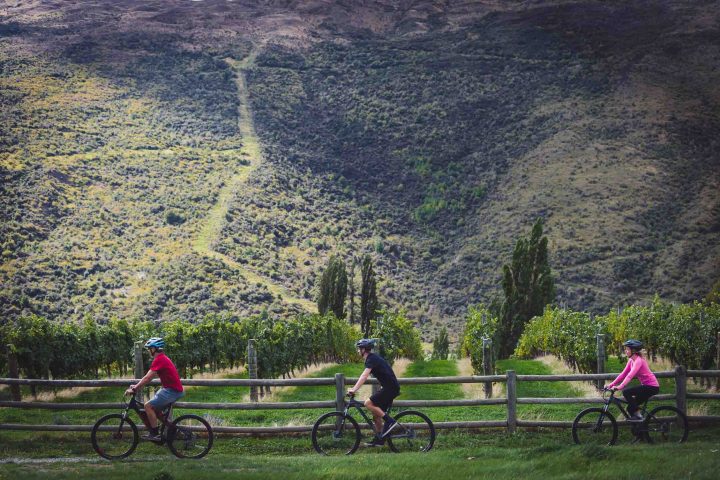 Riding beside epic scenery in the Gibbston Wine Valley