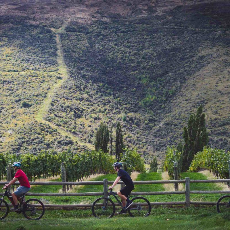 Riding beside epic scenery in the Gibbston Wine Valley