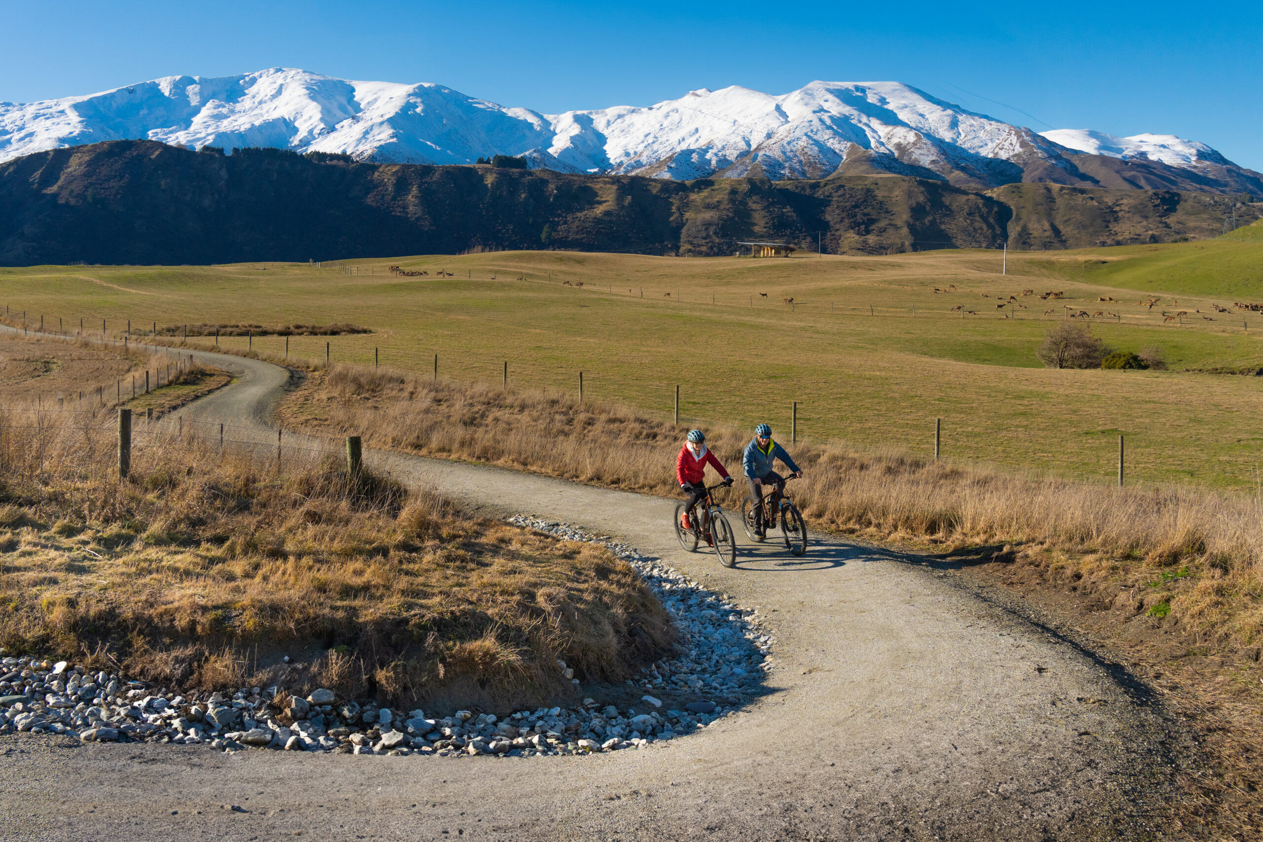 Two Mountain Bike Riders, riding up a hair pin turn on the Queenstown trail