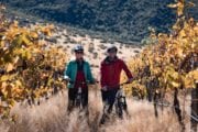 Bike The Wineries in Winter