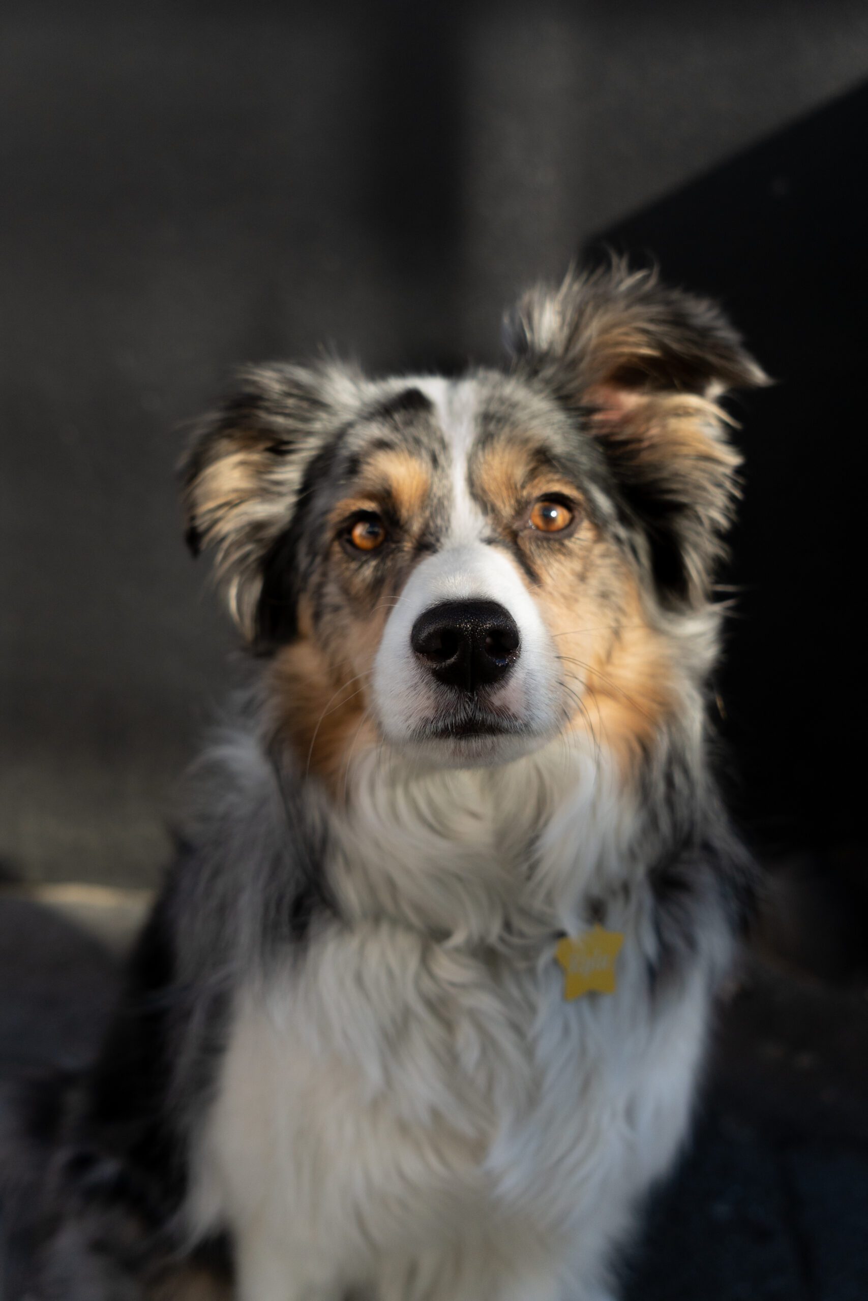 Kyla from Around The Basin