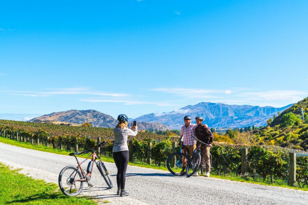 Vineyards Gibbston Valley